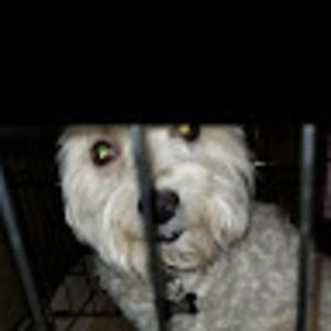 Meet your Posher, Sergio